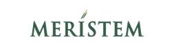 meristem